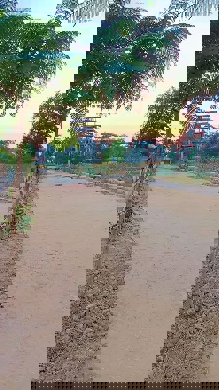 Plot For Sale in Rohta