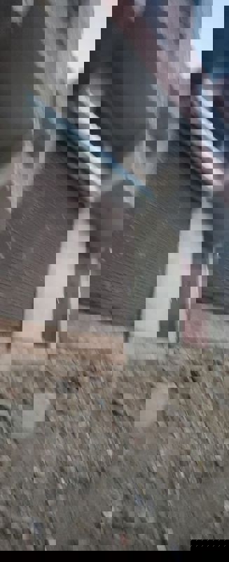 Plot For Sale in Dlf Ankur Vihar