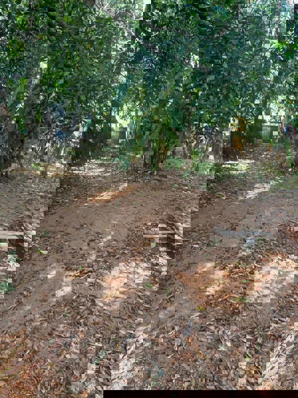 Plot For Sale in Nellankara