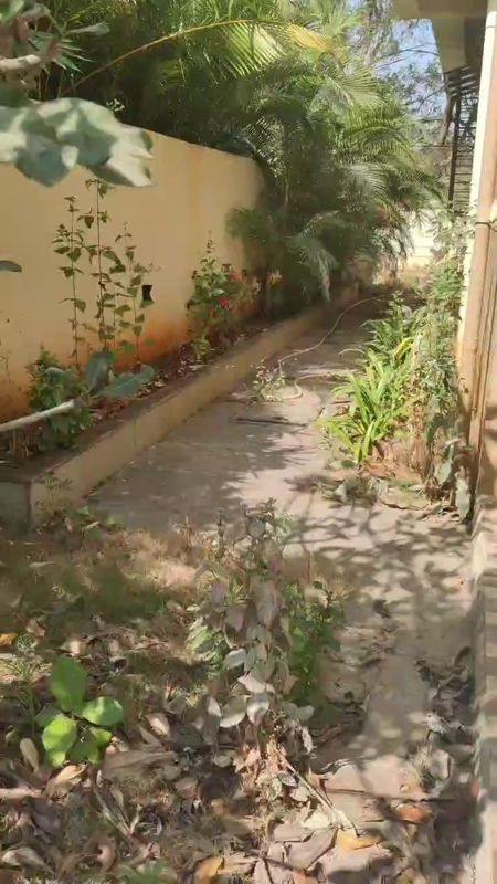 4 BHK Villa For Rent in Pathardi Phata