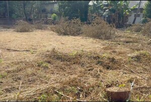  Plot For Sale in Kuriachira
