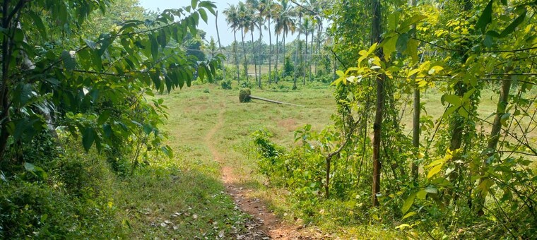 Garden, kaiparambu jn  36153 Sq.Ft. Plot In Kaiparambu jn Thrissur 9773702