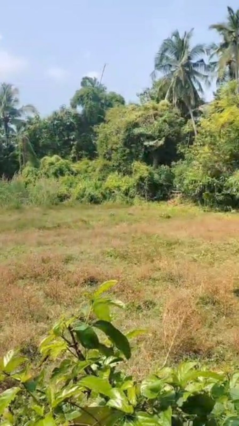 undefined, kaiparambu jn  36153 Sq.Ft. Plot In Kaiparambu jn Thrissur 9773702