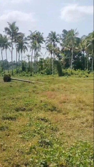 Plot Area in  Plot at Kaiparambu jn – for Sale