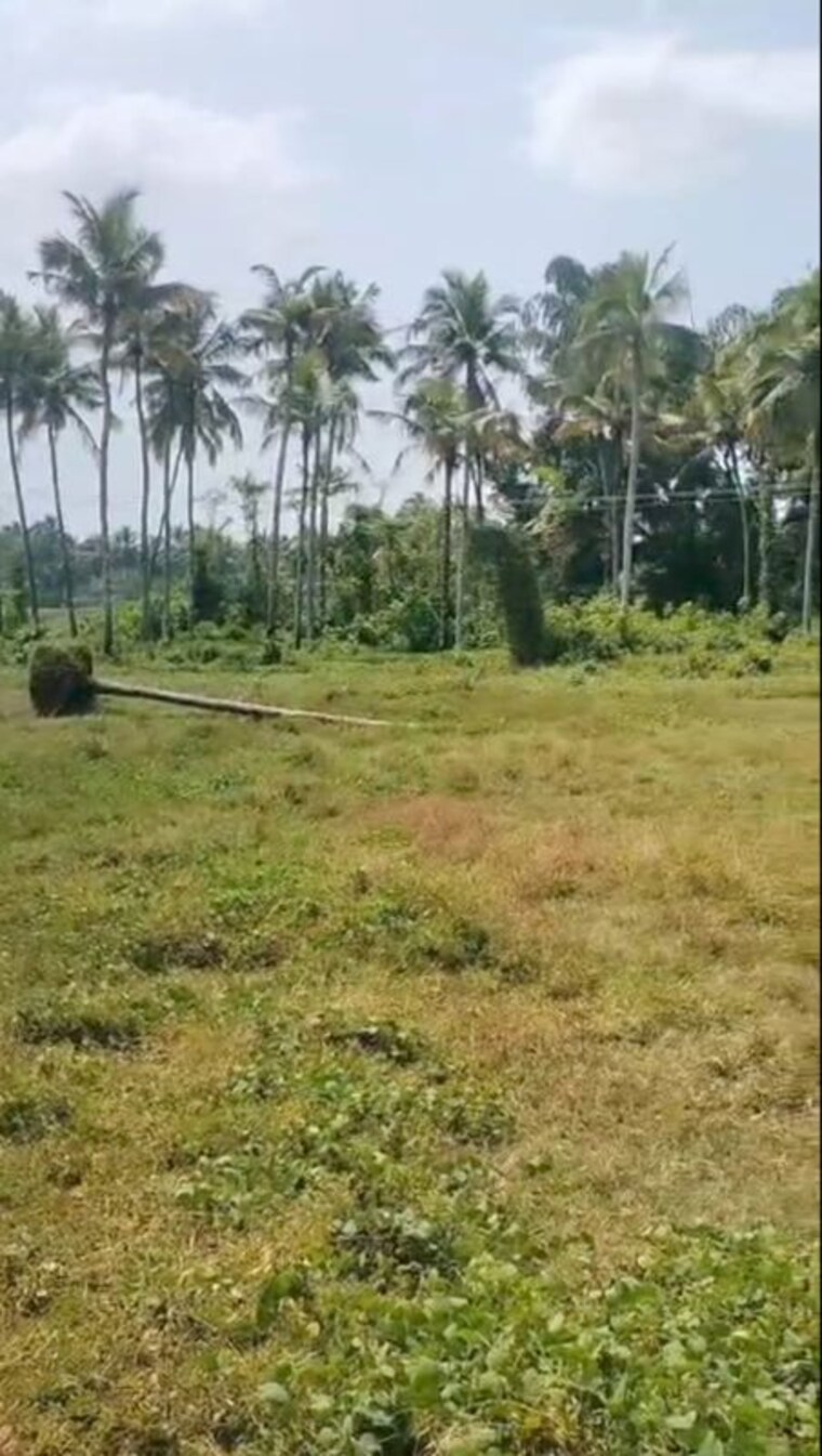undefined, kaiparambu jn  36153 Sq.Ft. Plot In Kaiparambu jn Thrissur 9773702