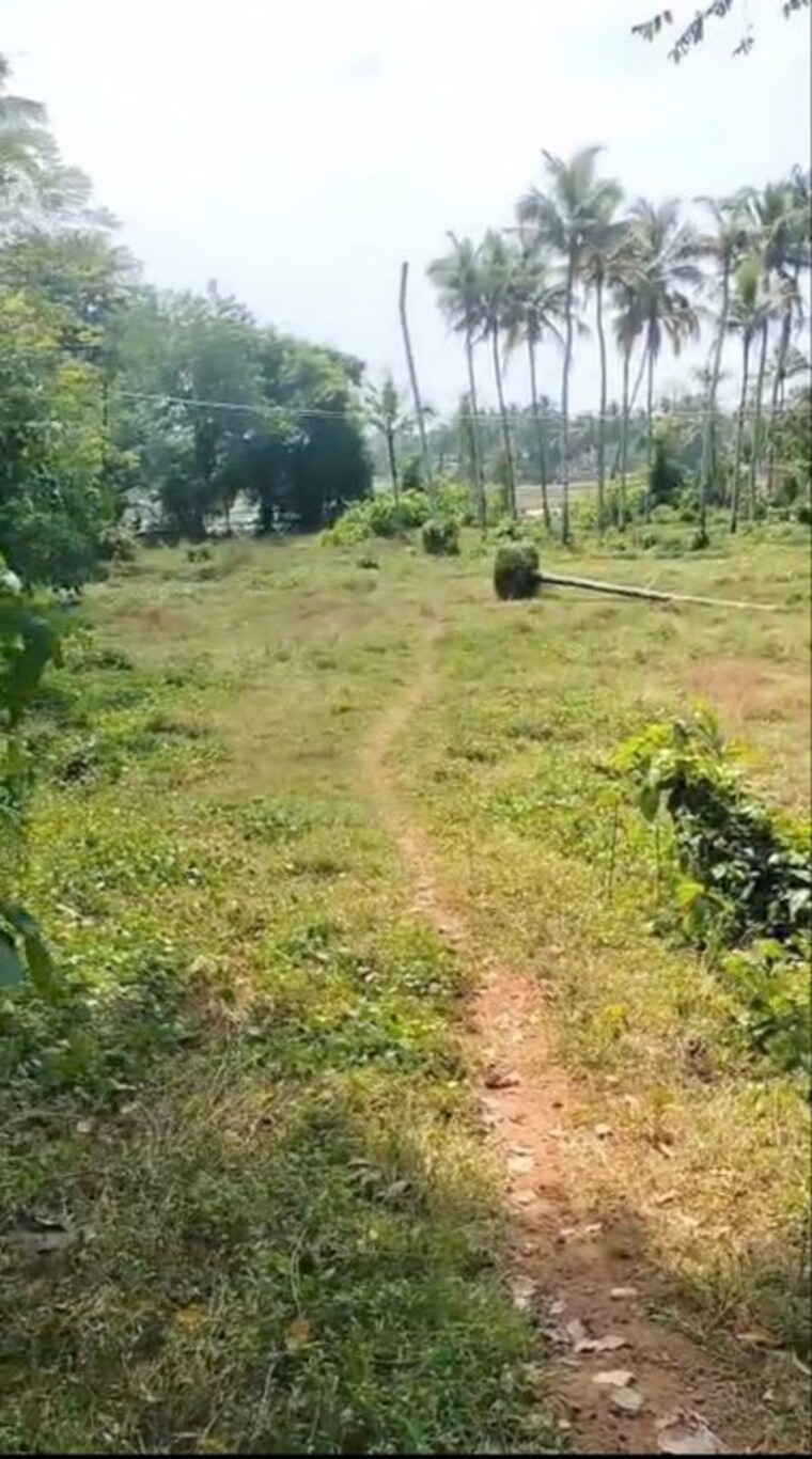 undefined, kaiparambu jn  36153 Sq.Ft. Plot In Kaiparambu jn Thrissur 9773702