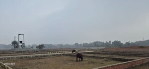 Plot Area in  Plot at Mohanlalganj – for Sale