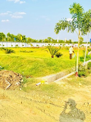 Plot Area in  Plot at Mohanlalganj – for Sale