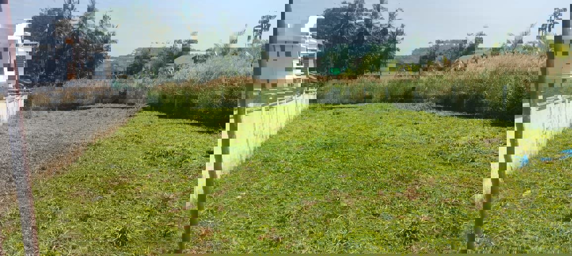 Plot For Sale in Mannuthy