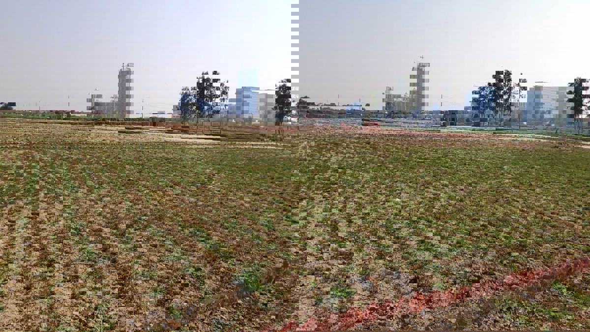 Plot For Sale in Sector 151