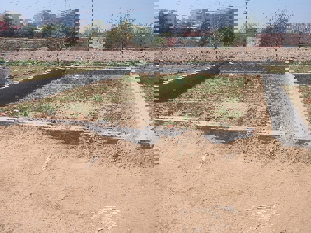 Plot For Sale in Sector 142