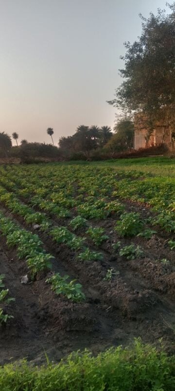 Plot Area in  Plot at Super Corridor – for Sale