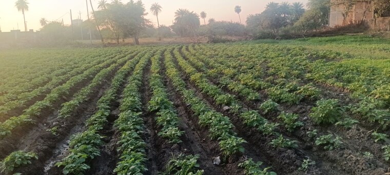 undefined, super corridor  1200 Sq.Yd. Plot In Super Corridor Indore 9773869