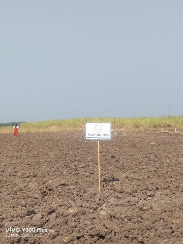  Plot For Sale in Wagholi