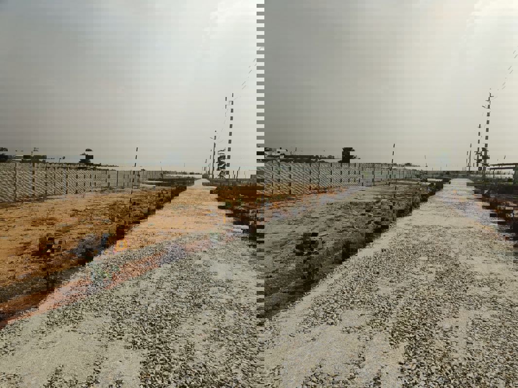 Plot For Sale in Hoskote