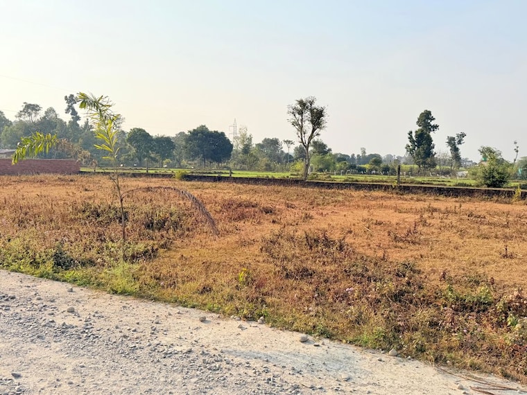 undefined, badripur  244 Sq.Yd. Plot In Badripur Dehradun 9774040