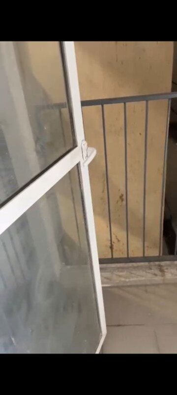 Balcony in 2 BHK Apartment at Godrej Boulevard, Manjari – for Sale