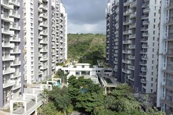 3 BHK + Pooja Room,Servant Room,Study Room Apartment For Sale in Kalpataru Jade Residences