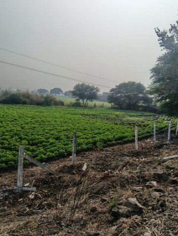 Plot Area in  Land at Paliya – for Sale