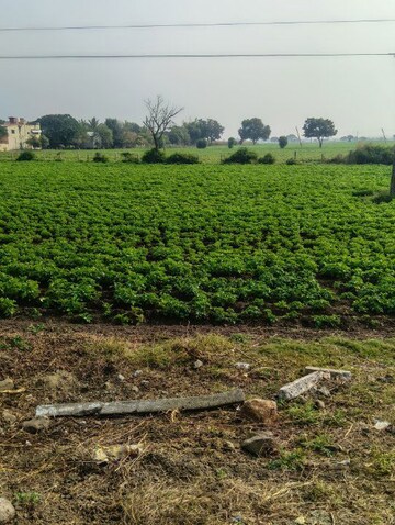 Plot Area in  Land at Paliya – for Sale