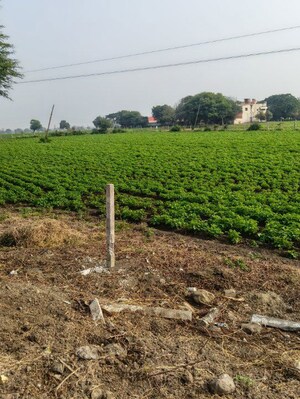  Land For Sale in Paliya