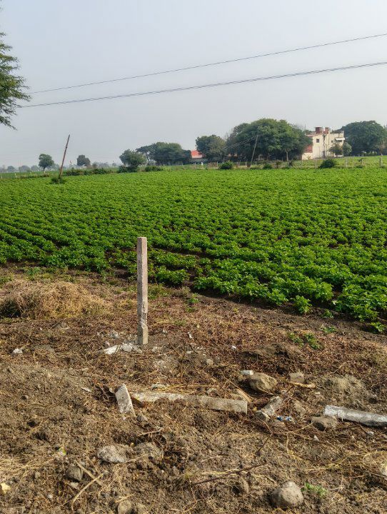 Land For Sale in Paliya