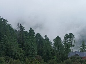 6 BHK Independent House For Sale in Mashobra