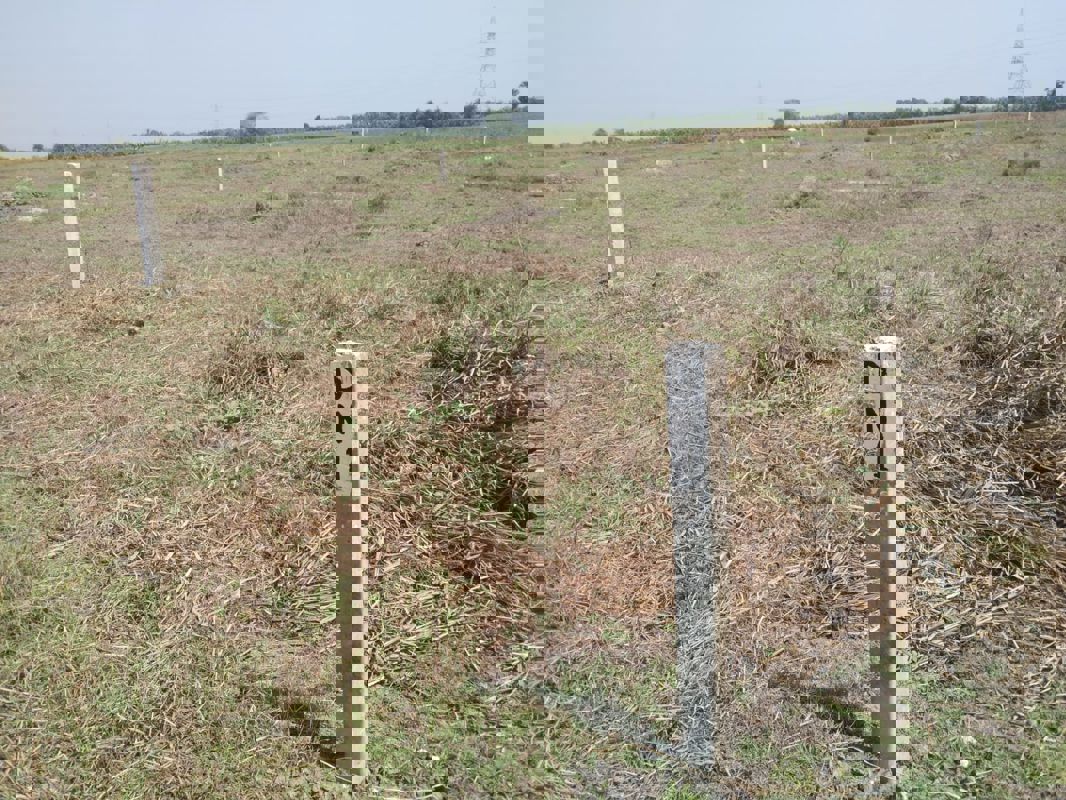 Plot For Sale in New Town Action Area-III