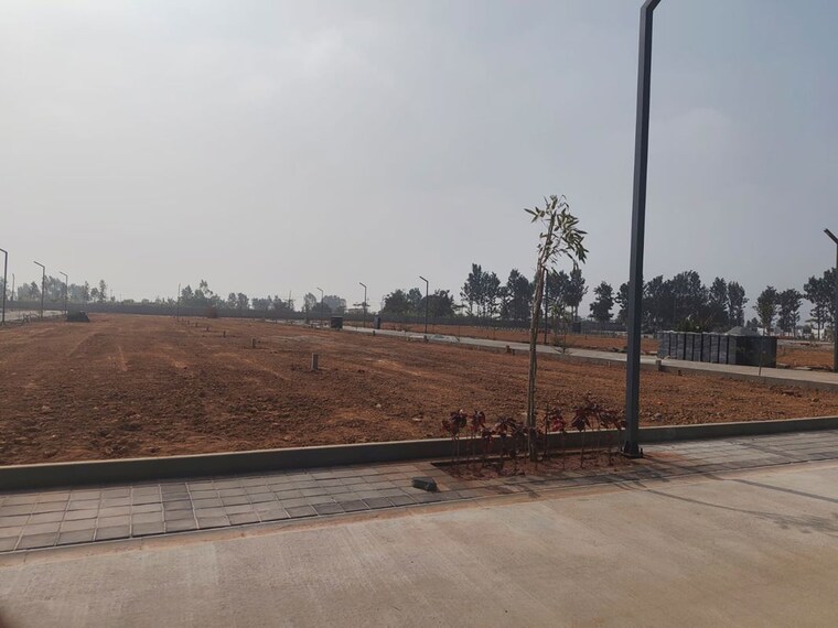 undefined, hoskote  1200 Sq.Yd. Plot In Hoskote Bangalore 9774888