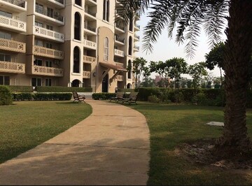3 BHK Apartment For Rent in DLF New Town Heights Town Houses, Sector 86