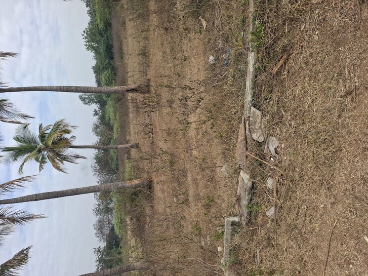 undefined, sangareddy  220 Sq.Yd. Plot In Sangareddy Hyderabad 9775228