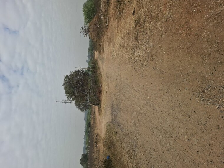undefined, sangareddy  220 Sq.Yd. Plot In Sangareddy Hyderabad 9775228