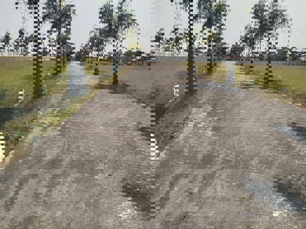 Plot For Sale in Kolar