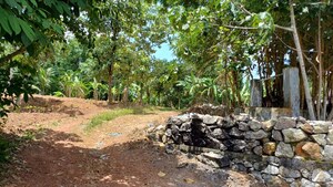 Plot Area in  Plot at Nettayam – for Sale