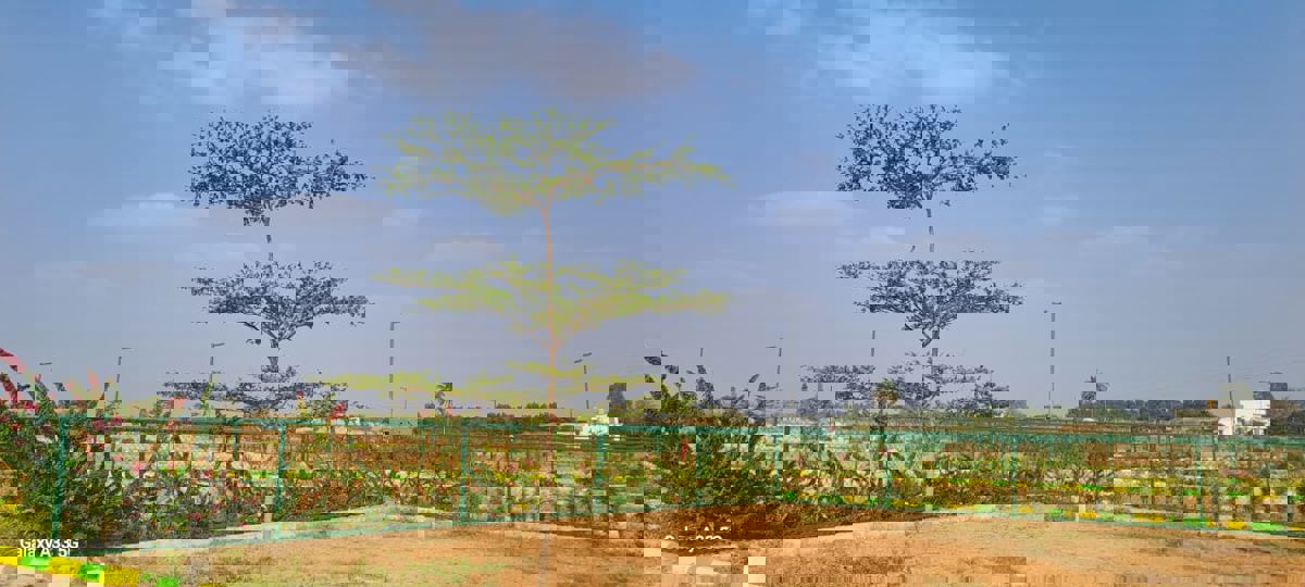 Plot For Sale in Hoskote