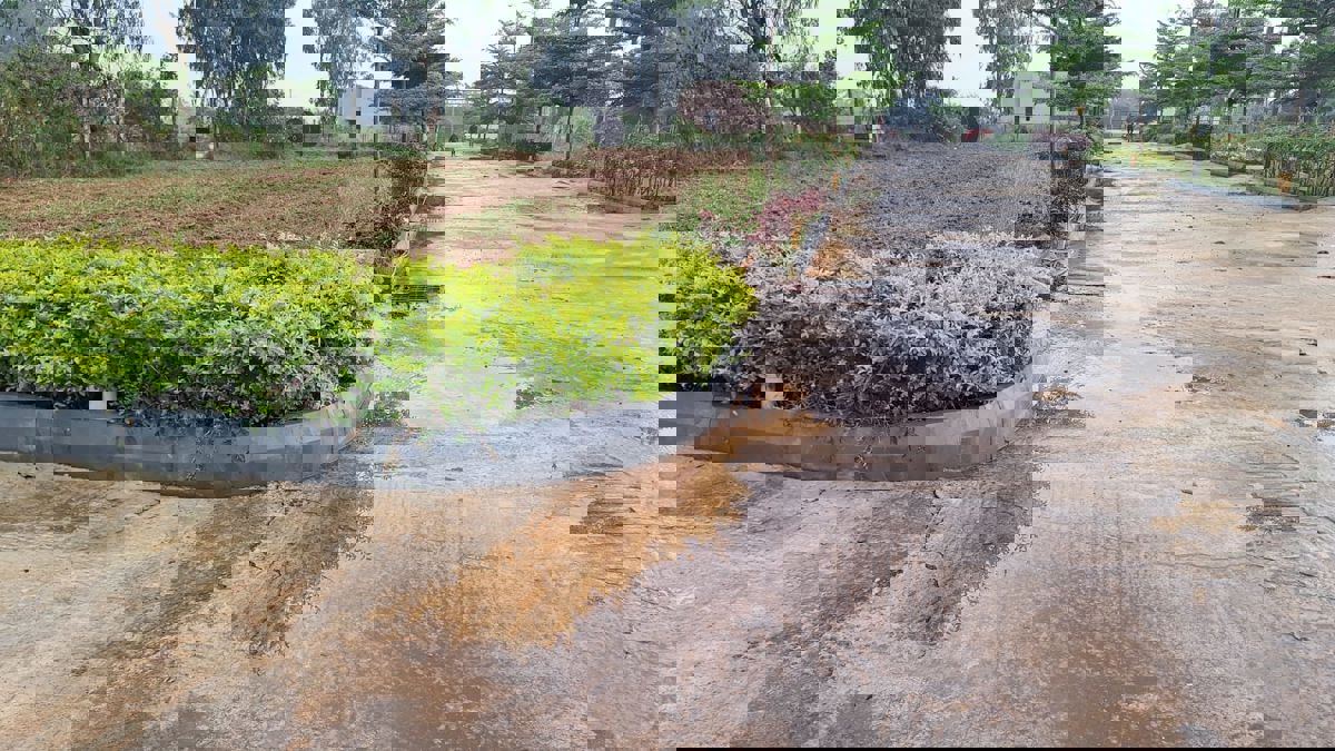 Plot For Sale in Anekal