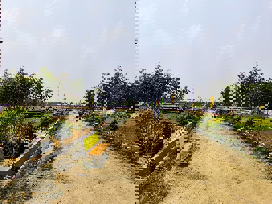 Plot For Sale in Raebareli Road