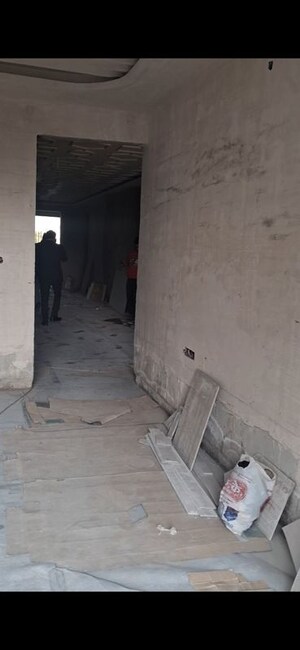 5 BHK Builder Floor For Sale in Sector 85