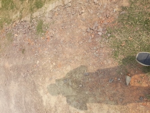 Plot Area in  Plot at Gosainganj – for Sale