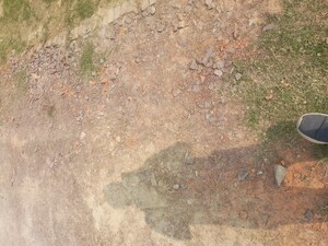 Plot Area in  Plot at Gosainganj – for Sale