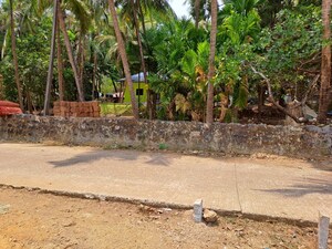  Plot For Sale in Kodibag