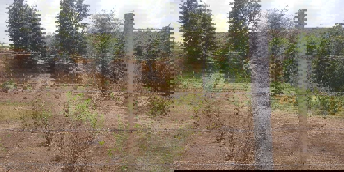 Plot For Sale in Vindhane