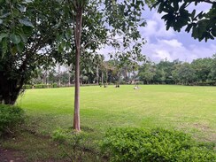 1 BHK Apartment For Rent in Ajmera Greenfinity