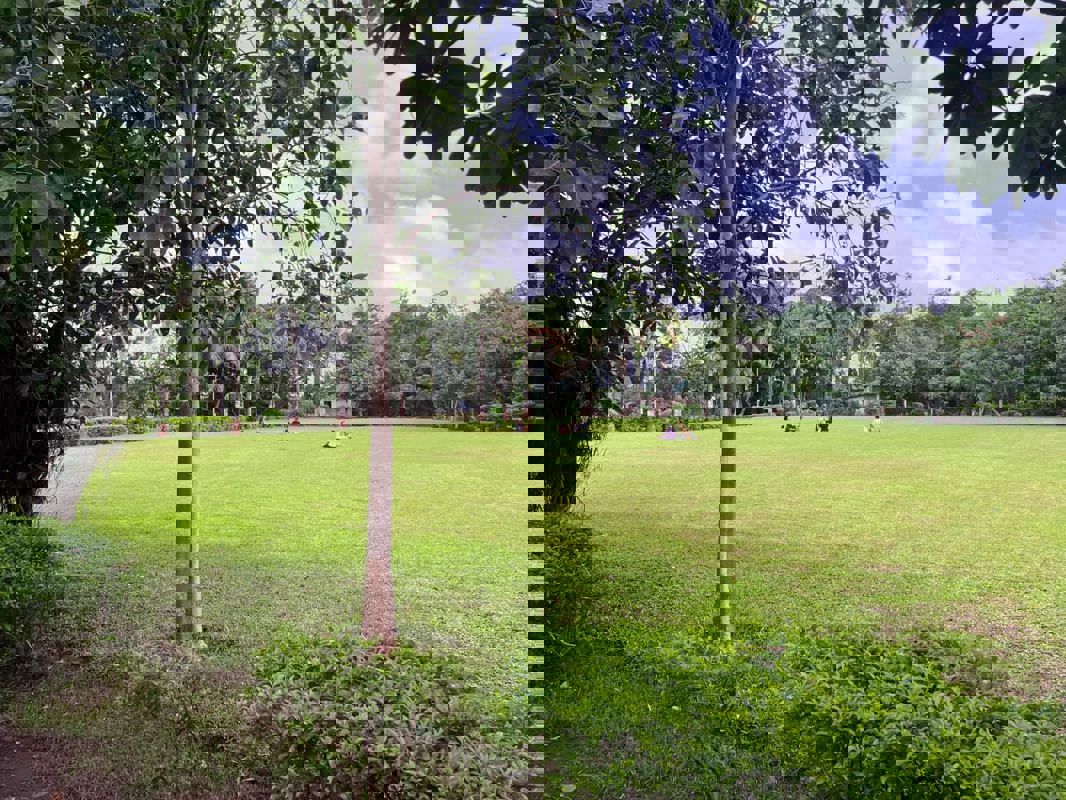 1 BHK Apartment For Rent in Ajmera Greenfinity