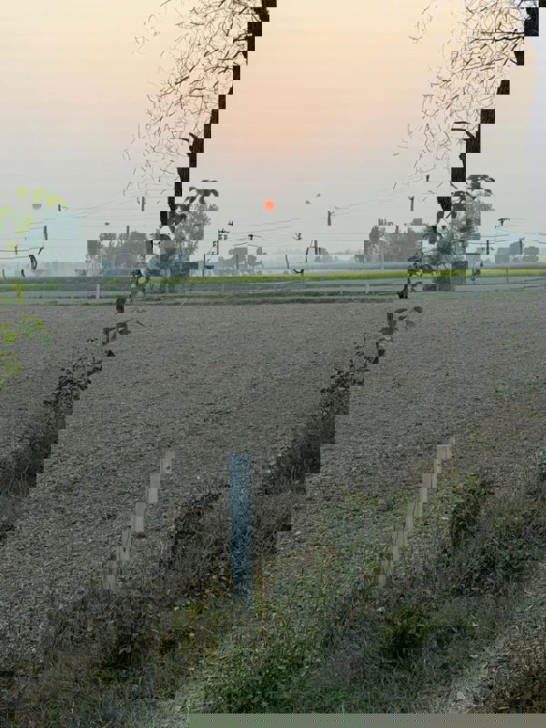 Plot For Sale in Sector 39