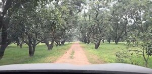  Land For Sale in Sikandrabad