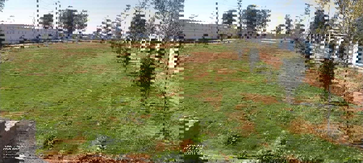 Plot For Sale in Sector 29 Part 2