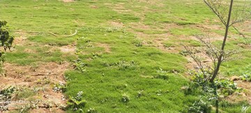  Plot – Garden View at Sector 29 Part 2 - for Sale