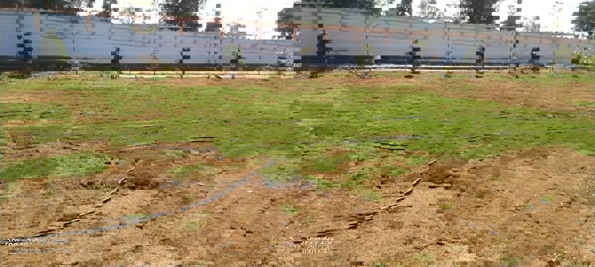 Plot For Sale in Sector 29 Part 2