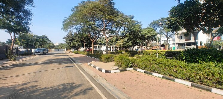 undefined, sector 92  200 Sq.Yd. Plot In Sector 92 Gurgaon 9776780